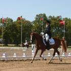 ME Pony 2004