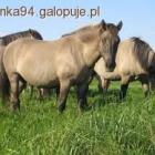 Fotka nr 2 z 4