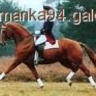 Fotka nr 2 z 7