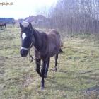 Idzie do mnie :)