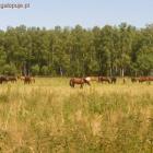 zdjęcie nr 8