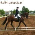 zdjęcie nr 9