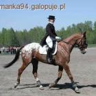 Fotka nr 1 z 9