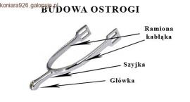 Budowa ostrogi