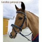 ze skośnikiem