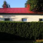 Zywoplot