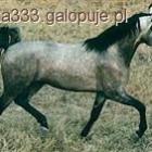 Fotka nr 2 z 4