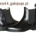 Fotka nr 4 z 7
