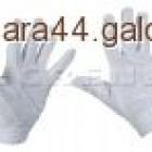 Fotka nr 3 z 6