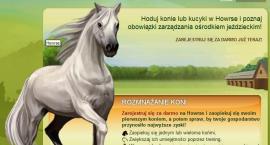 Screen z gry