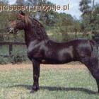 Fotka nr 1 z 2