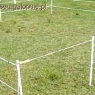 Elektryczny pastuch
