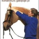 Fotka nr 1 z 3