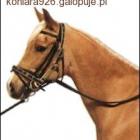 Fotka nr 2 z 3