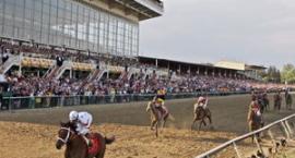 Preakness