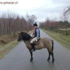 Fotka nr 2 z 5
