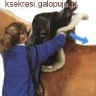 Siodlanie musi byc delikatne