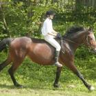 Galop na oklep