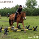 Fotka nr 5 z 10