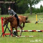 Fotka nr 1 z 10