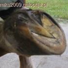 Fotka nr 1 z 3