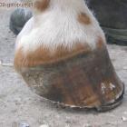 Fotka nr 2 z 3