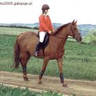 zdjęcie nr 9