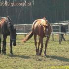 zdjęcie nr 7