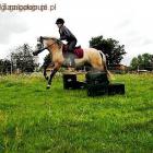 double-bar