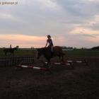 galop na cavaletti.