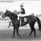 Fotka nr 4 z 7