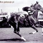 Fotka nr 1 z 23