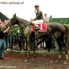zdjęcie nr 11