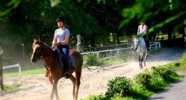 walewice.pl