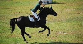 CSIO 5*
