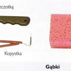Fotka nr 4 z 5