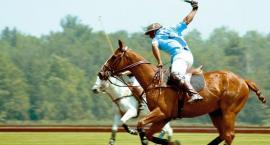 Polo.