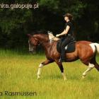 Fotka nr 1 z 5