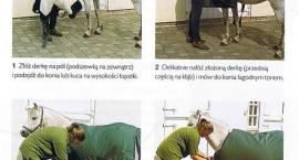 zakładanie derki; zdjęcia zeskanowane z książki.