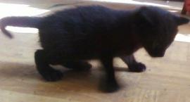 Kilka dni po narodzinach