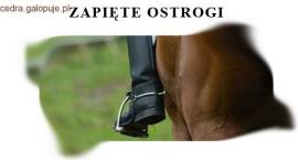 zapięte ostrogi