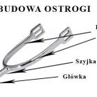 budowa