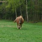 zdjęcie nr 8