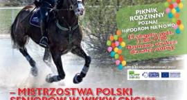 Fotka nr 0 z 2