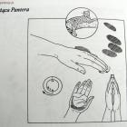 Leżąca Pantera - do koni wrażliwych, delikatniejsze od 