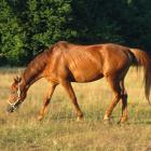 Wydoroślał.