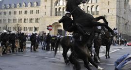 Spłoszony koń policjanta