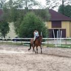 trening ujeżdżeniowy
