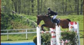 lummen-horses.be