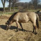 Roczek Nocusi;) 4.04.10r.